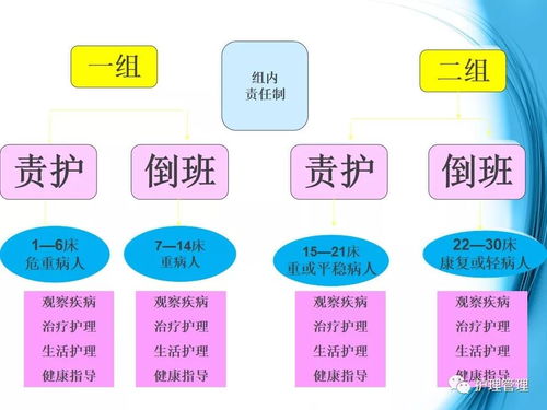 精细化护理管理及服务实践